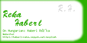 reka haberl business card